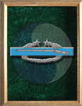 Combat Infantry Badge, 3rd Award Combat Infantry Badge, 3rd Award